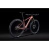 Avis-Lapierre-Prorace-8.9-performance-XC-et-rendement-competition.jpg Lapierre Prorace 8.9 - VTT XC Carbone avec Roues Carbone