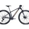 VTT-29-pouces-Lapierre-Prorace-5.9-stabilite-et-controle.jpg Lapierre Prorace 5.9 - VTT XC Performance 12 Vitesses