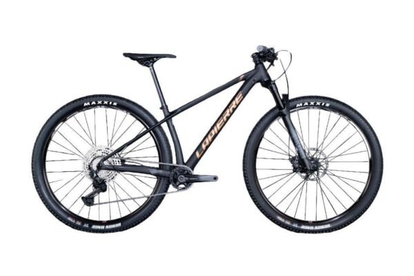 VTT-29-pouces-Lapierre-Prorace-5.9-stabilite-et-controle.jpg Lapierre Prorace 5.9 - VTT XC Performance 12 Vitesses